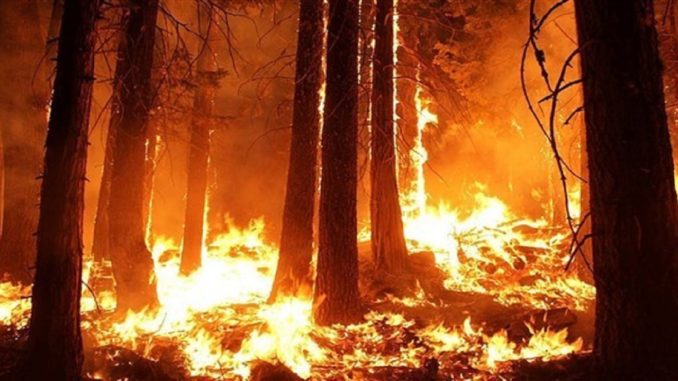 savez-vous-que-incendies-de-foret-sopfeu-incendies-001-620x348